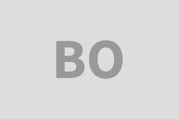 BOSNIAKS EDUCATIONAL CULTURAL ORGANIZATION