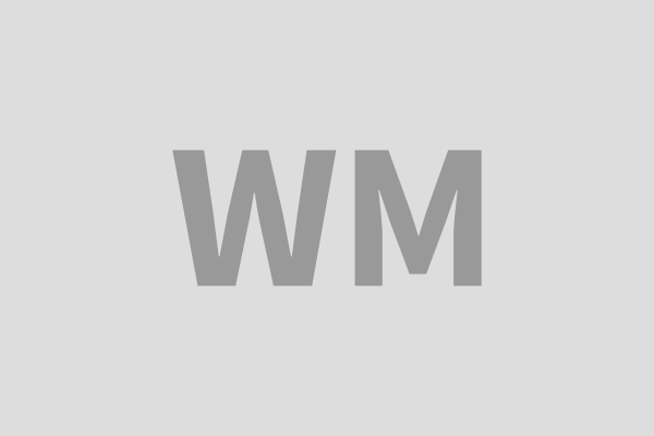 WISDOM HOUSE OF MANKATO