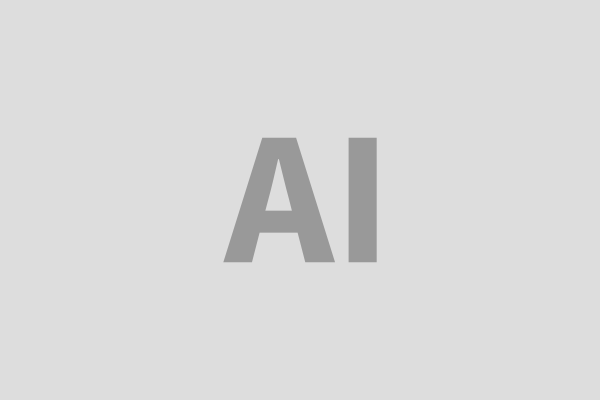 AMERICAN MUSLIM INSTITUTE