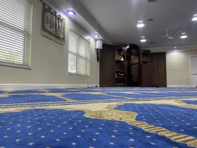 Madinatul Uloom Institute logo