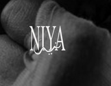 niyachicago logo
