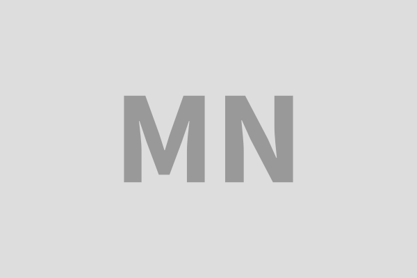 Msa National logo